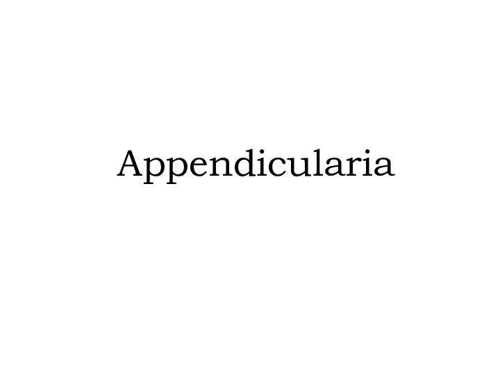 Appendicularia