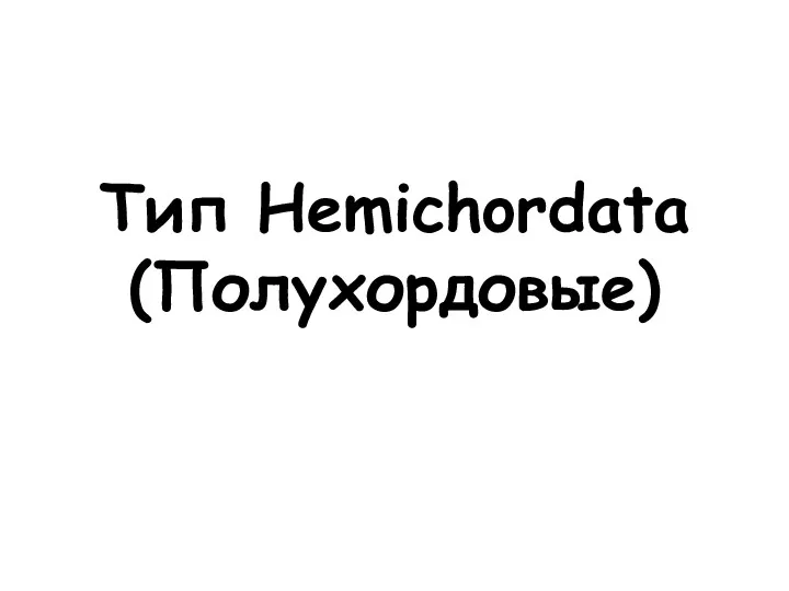 Тип Hemichordata (Полухордовые)