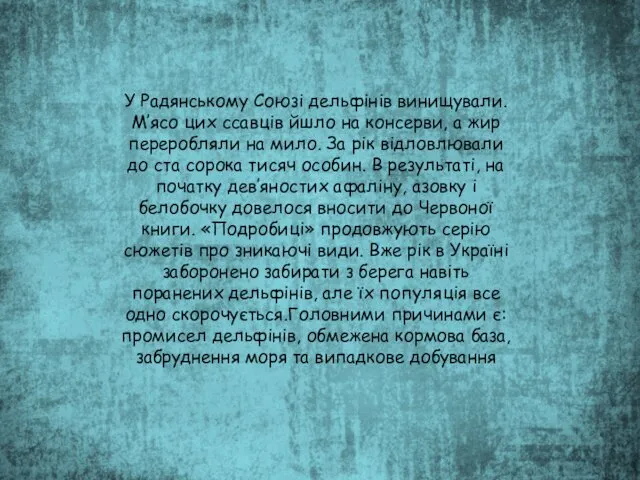 У Радянському Союзі дельфінів винищували. М’ясо цих ссавців йшло на