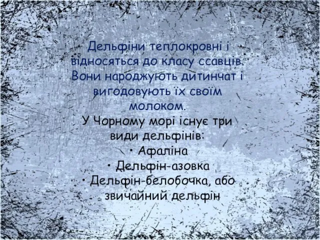 Дельфіни теплокровні і відносяться до класу ссавців. Вони народжують дитинчат