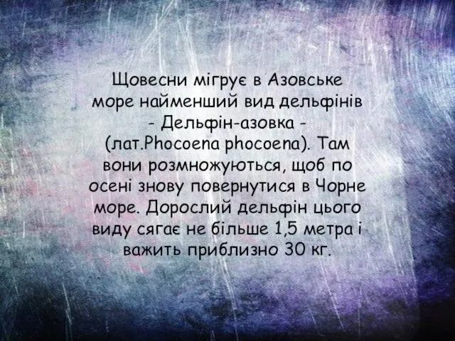 Щовесни мігрує в Азовське море найменший вид дельфінів - Дельфін-азовка