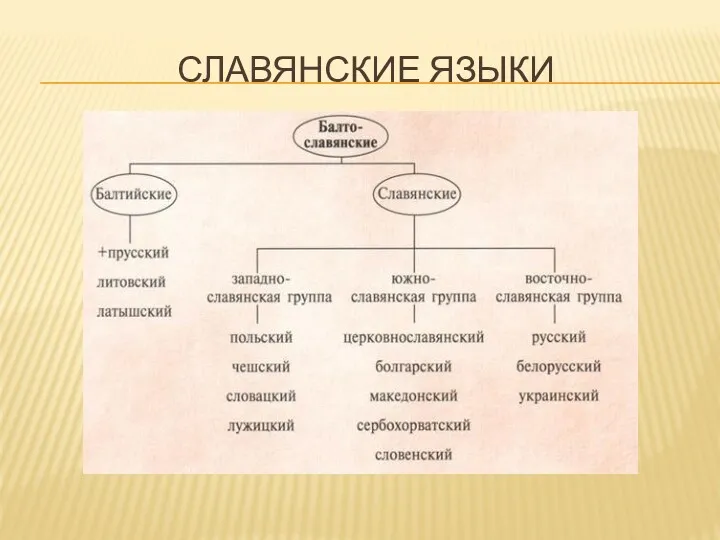 СЛАВЯНСКИЕ ЯЗЫКИ