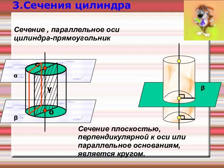 Сечение плоскостью, перпендикулярной к оси или параллельное основаниям, является кругом.