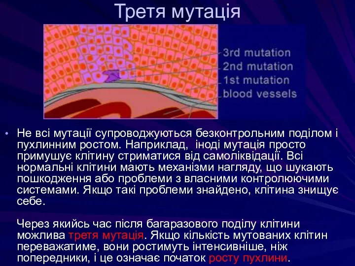 Третя мутація Не всі мутації супроводжуються безконтрольним поділом і пухлинним