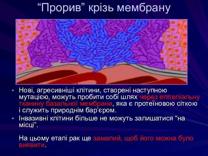 “Прорив” крізь мембрану Нові, агресивніші клітини, створені наступною мутацією, можуть