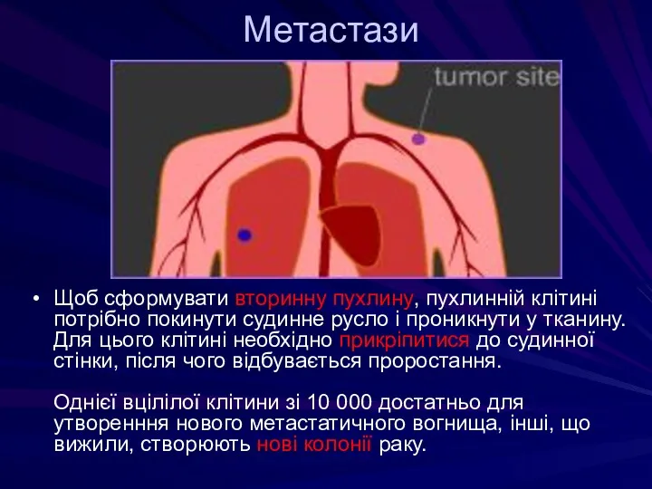 Метастази Щоб сформувати вторинну пухлину, пухлинній клітині потрібно покинути судинне