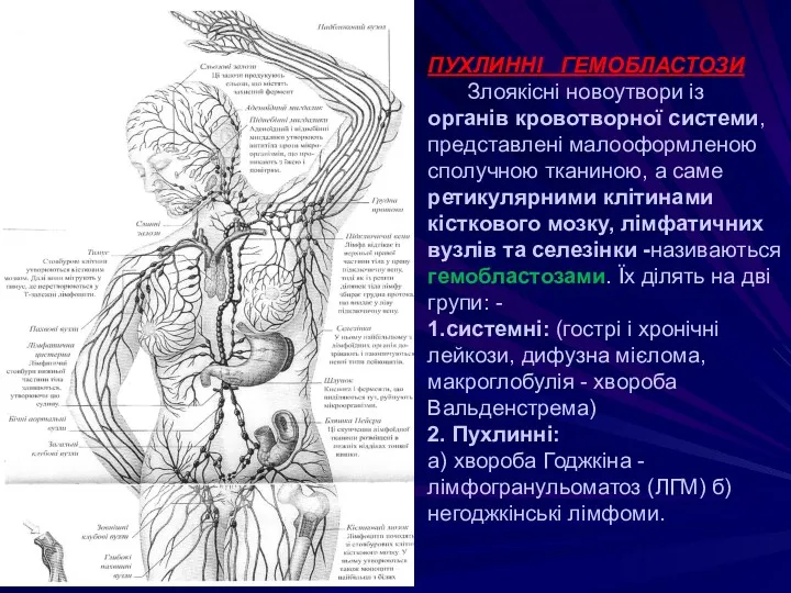 ПУХЛИННІ ГЕМОБЛАСТОЗИ Злоякісні новоутвори із органів кровотворної системи, представлені малооформленою