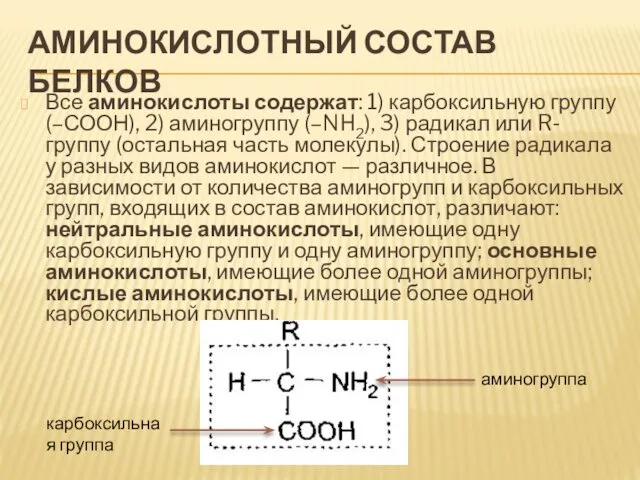 АМИНОКИСЛОТНЫЙ СОСТАВ БЕЛКОВ Все аминокислоты содержат: 1) карбоксильную группу (–СООН), 2) аминогруппу (–NH2),