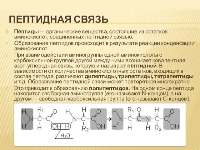 ПЕПТИДНАЯ СВЯЗЬ Пептиды — органические вещества, состоящие из остатков аминокислот, соединенных пептидной связью.