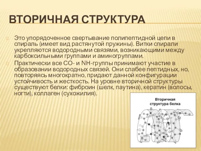 ВТОРИЧНАЯ СТРУКТУРА Это упорядоченное свертывание полипептидной цепи в спираль (имеет вид растянутой пружины).