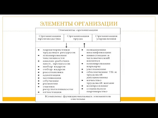 ЭЛЕМЕНТЫ ОРГАНИЗАЦИИ