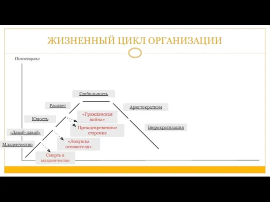 ЖИЗНЕННЫЙ ЦИКЛ ОРГАНИЗАЦИИ Потенциал