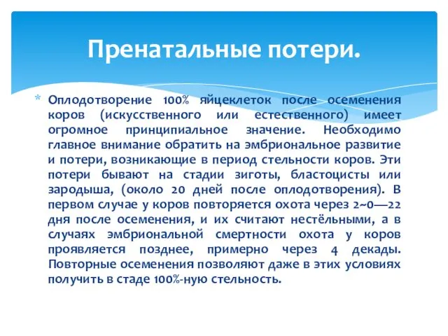 Оплодотворение 100% яйцеклеток после осеменения коров (искусственного или естественного) имеет