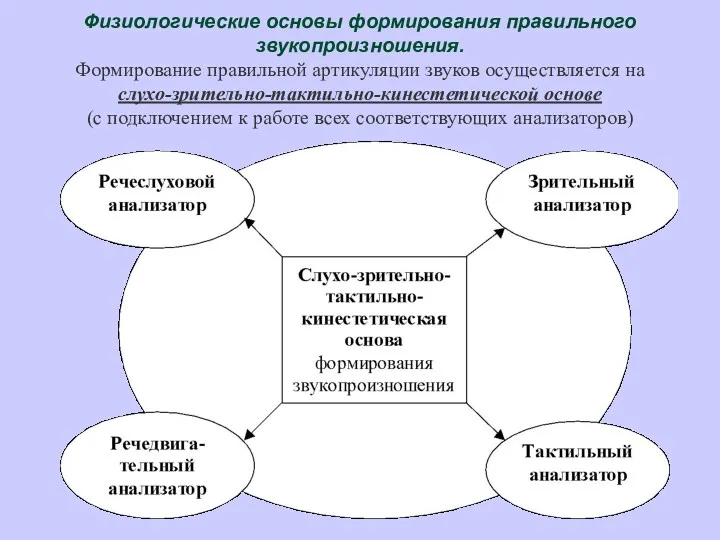 Физиологические основы формирования правильного звукопроизношения. Формирование правильной артикуляции звуков осуществляется