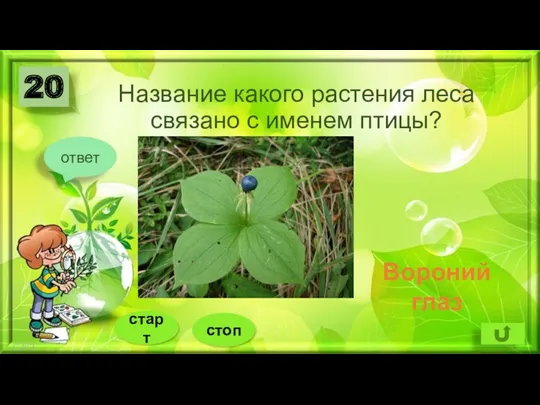 Название какого растения леса связано с именем птицы? 20 ответ Вороний глаз стоп старт