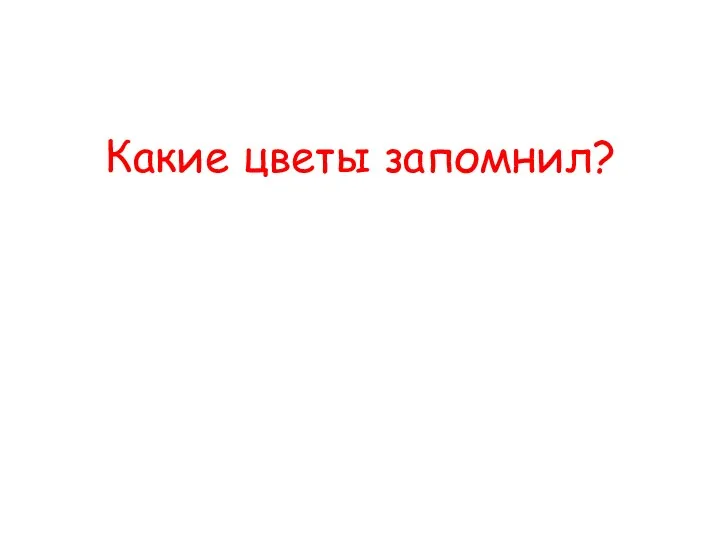 Какие цветы запомнил?