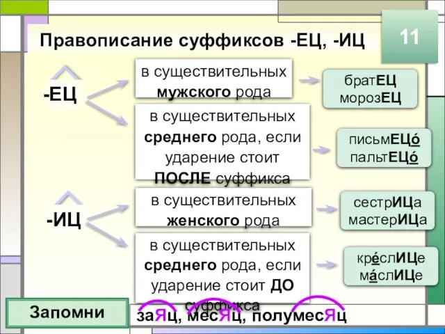 Правописание суффиксов -ЕЦ, -ИЦ Запомни 11 -ЕЦ -ИЦ в существительных