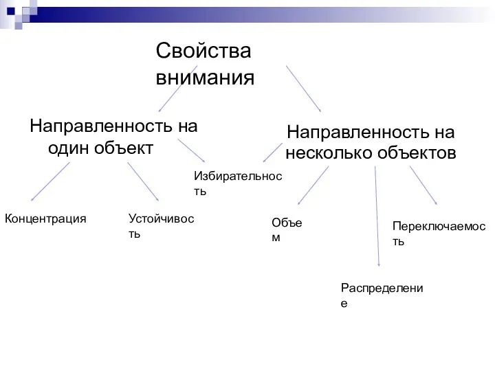 Направленность на один объект Направленность на несколько объектов Концентрация Устойчивость Избирательность Переключаемость Распределение Объем Свойства внимания