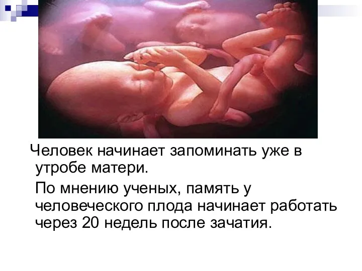 Человек начинает запоминать уже в утробе матери. По мнению ученых,