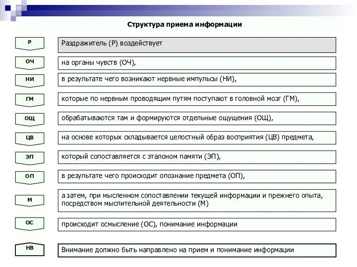 Раздражитель (Р) воздействует на основе которых складывается целостный образ восприятия