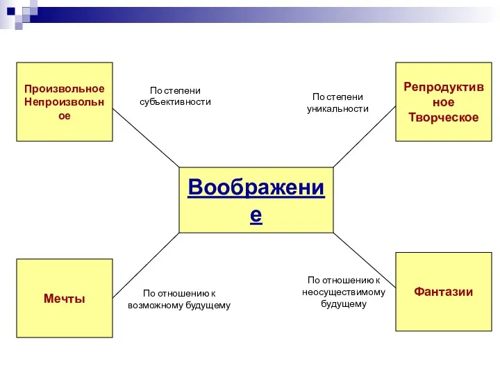 Воображение Произвольное Непроизвольное Фантазии Мечты Репродуктивное Творческое По степени субъективности