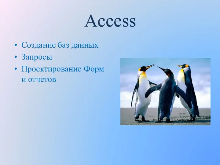 Access Создание баз данных Запросы Проектирование Форм и отчетов