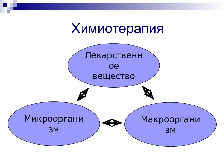 Химиотерапия Лекарственное вещество Макроорганизм Микроорганизм