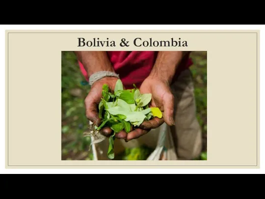 Bolivia & Colombia