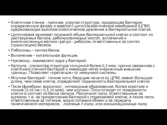 Клеточная стенка - прочная, упругая структура, придающая бактерии определенную форму