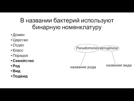 В названии бактерий используют бинарную номенклатуру Домен Царство Отдел Класс Порядок Семейство Род Вид Подвид