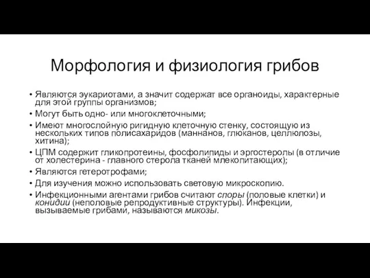 Морфология и физиология грибов Являются эукариотами, а значит содержат все