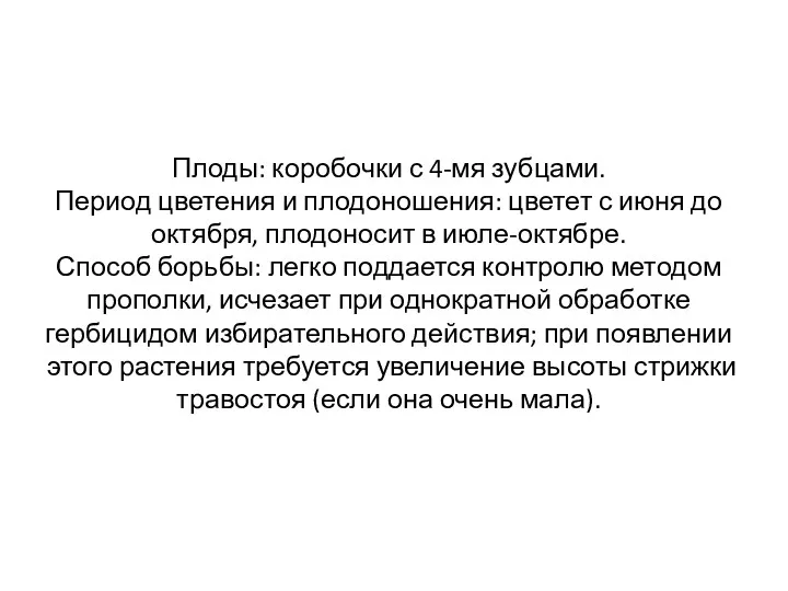 Плоды: коробочки с 4-мя зубцами. Период цветения и плодоношения: цветет