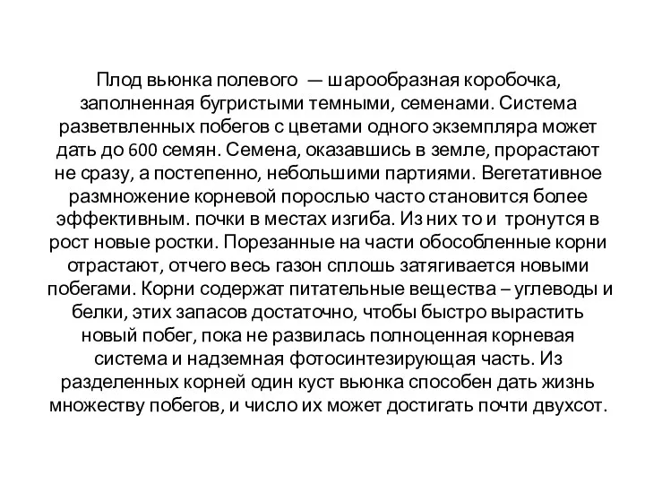 Плод вьюнка полевого — шарообразная коробочка, заполненная бугристыми темными, семенами.