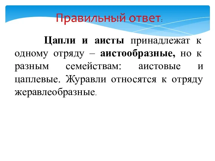 Цапли и аисты принадлежат к одному отряду – аистообразные, но