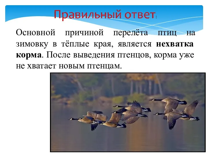 Основной причиной перелёта птиц на зимовку в тёплые края, является