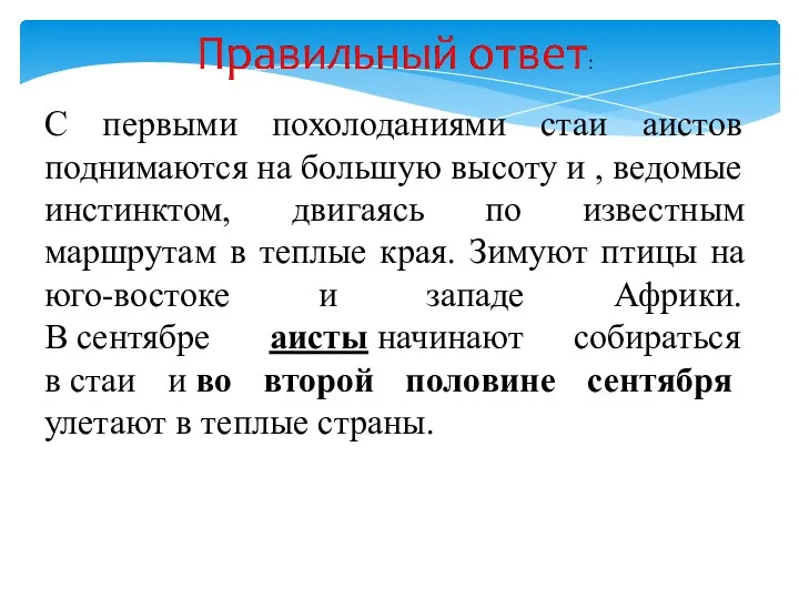 С первыми похолоданиями стаи аистов поднимаются на большую высоту и