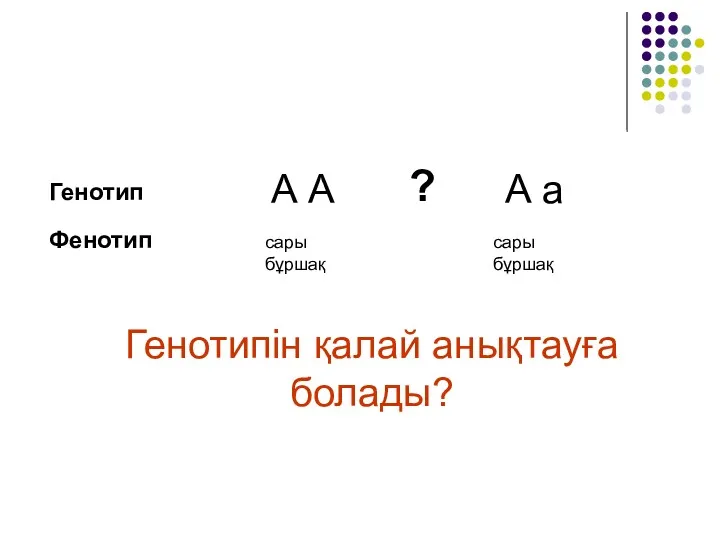 А А А а сары бұршақ сары бұршақ Генотип Фенотип ? Генотипін қалай анықтауға болады?