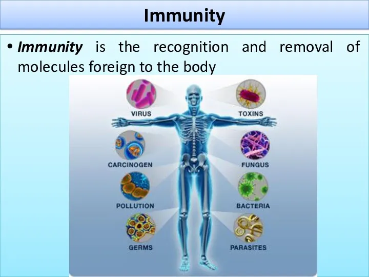 Immunity Immunity is the recognition and removal of molecules foreign to the body