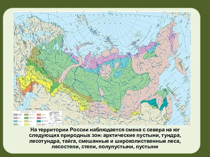 На территории России наблюдается смена с севера на юг следующих