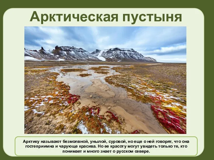 Арктическая пустыня Арктику называют безмолвной, унылой, суровой, но еще о