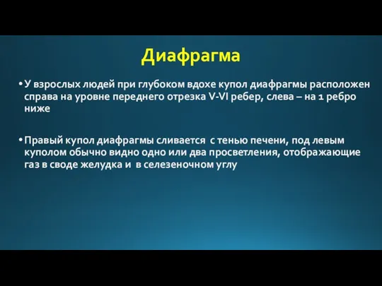 Диафрагма У взрослых людей при глубоком вдохе купол диафрагмы расположен