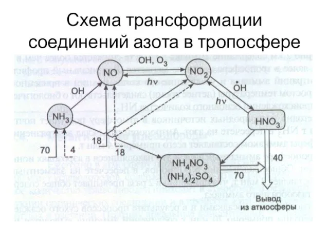 Схема трансформации соединений азота в тропосфере