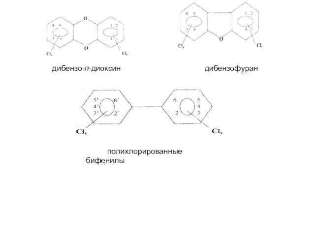 дибензо-п-диоксин дибензофуран полихлорированные бифенилы