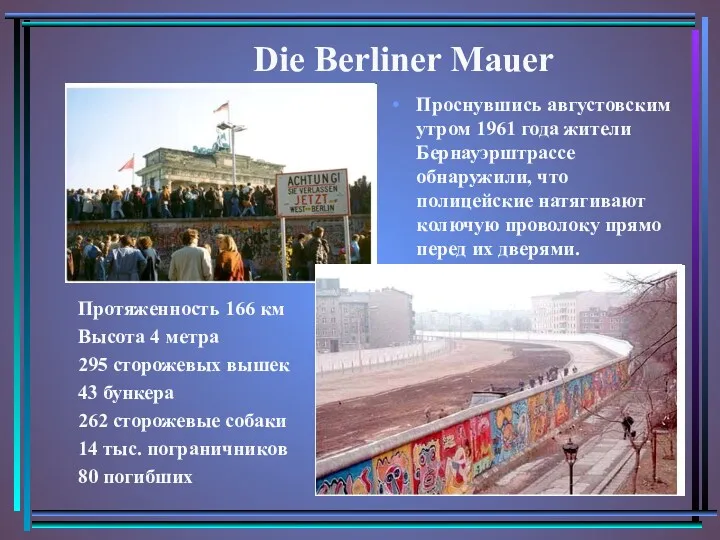 Протяженность 166 км Высота 4 метра 295 сторожевых вышек 43