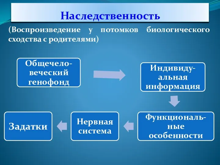 Наследственность (Воспроизведение у потомков биологического сходства с родителями)