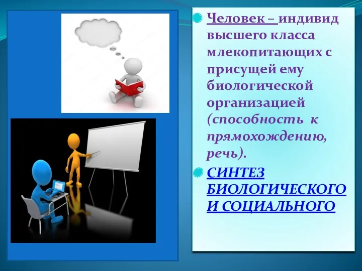 Человек – индивид высшего класса млекопитающих с присущей ему биологической