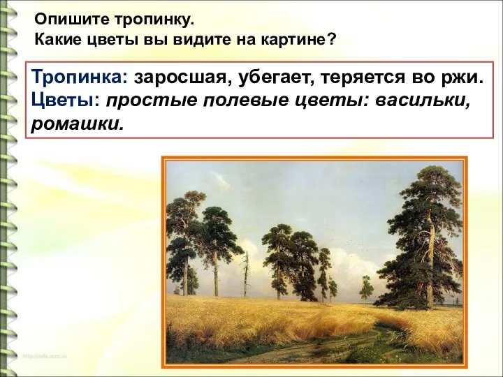 Опишите тропинку. Какие цветы вы видите на картине? Тропинка: заросшая,