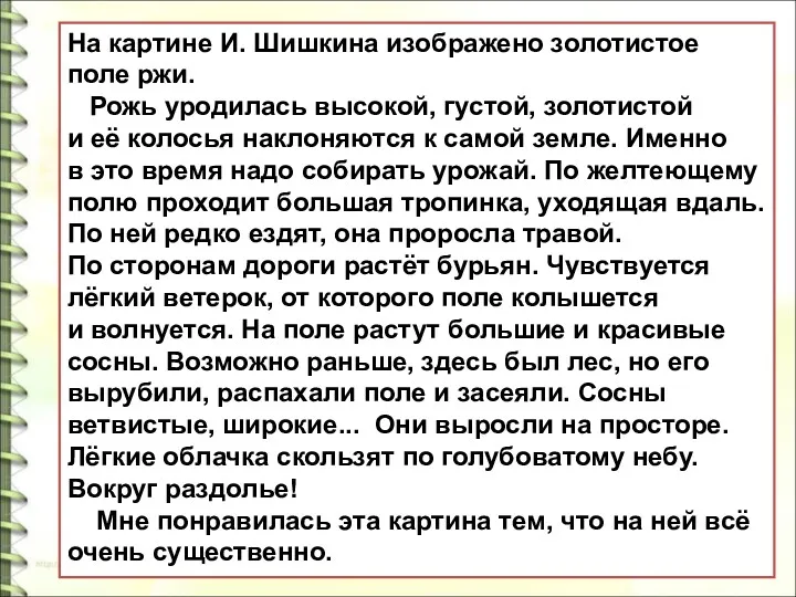 На картине И. Шишкина изображено золотистое поле ржи. Рожь уродилась