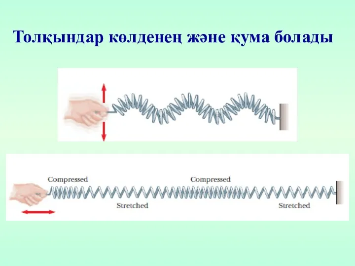 Толқындар көлденең және қума болады