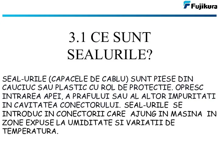 3.1 CE SUNT SEALURILE? SEAL-URILE (CAPACELE DE CABLU) SUNT PIESE